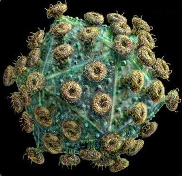 HIV Virus Image